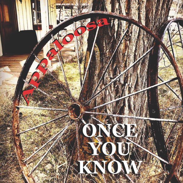 Cover art for Once You Know